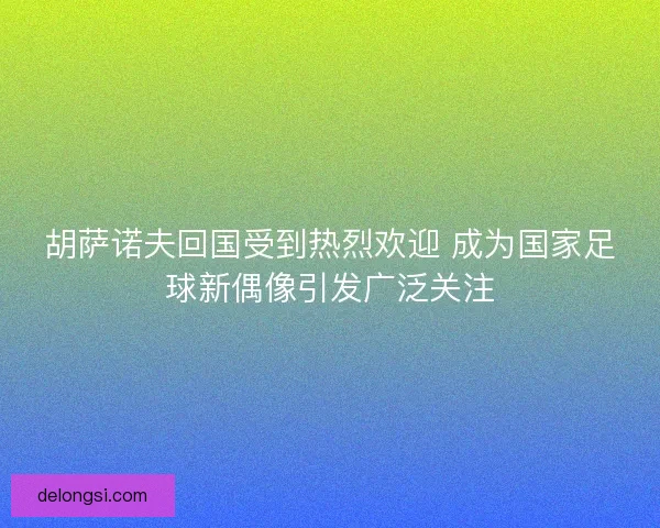 胡萨诺夫回国受到热烈欢迎 成为国家足球新偶像引发广泛关注